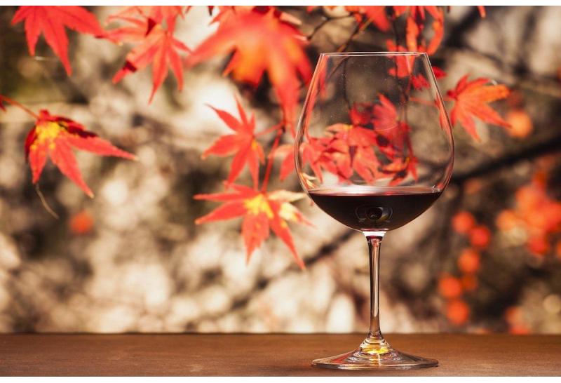 Jesień dla smakoszy: dopasowanie win do dań sezonowych